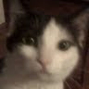 Meet your Posher, Cherilyn